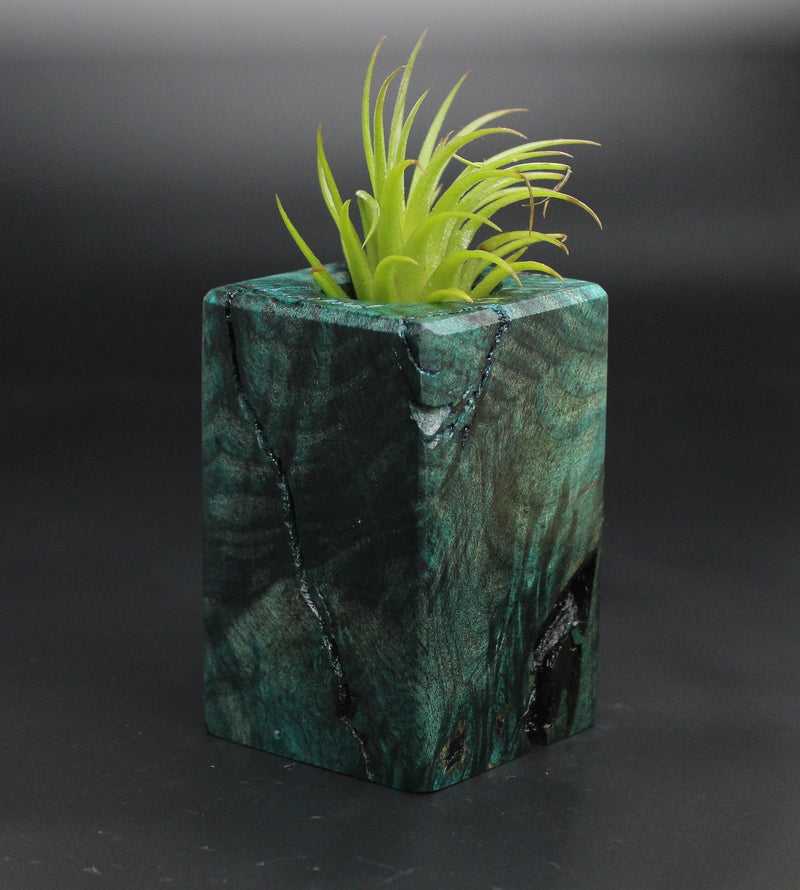 Wood Burl  Air Plant Holder - Braelynn (Wood Burl, 702044)