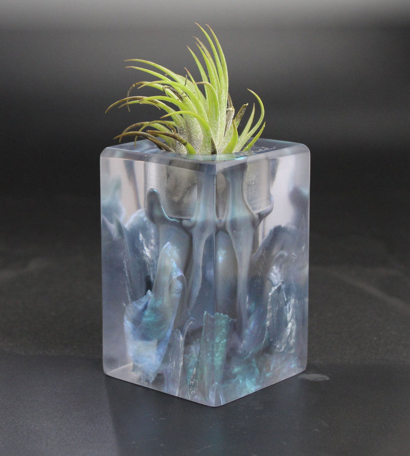 Wood Burl ResinArt Air Plant Holder - Virginia (The Lab, 702914)
