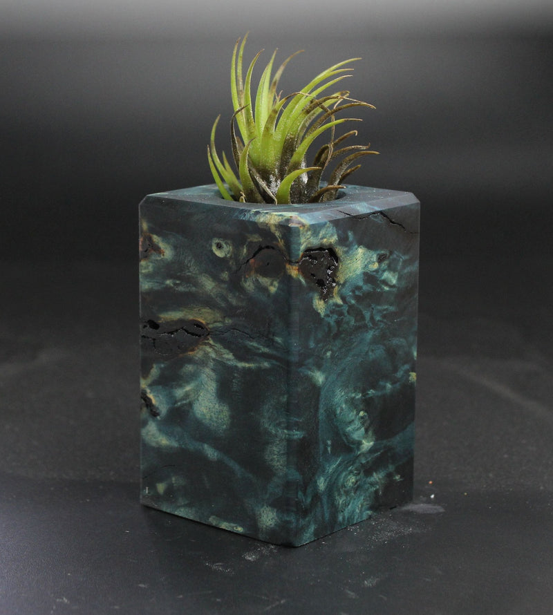 Wood Burl  Air Plant Holder - Bart (Wood Burl, 703546)