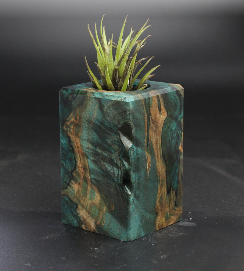 Wood Burl  Air Plant Holder - Jeanne (Wood Burl, 703555)