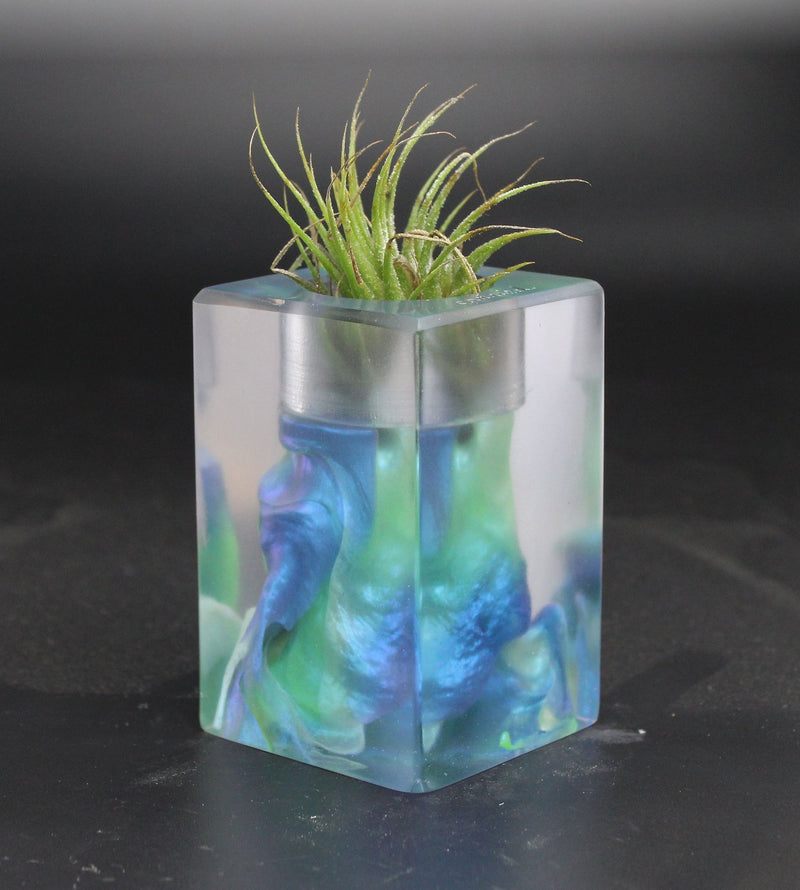 Wood Burl ResinArt Air Plant Holder - Kane (The Lab, 703581)