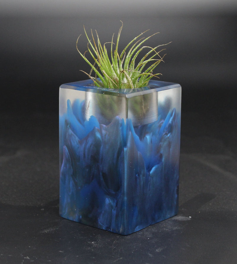 Wood Burl ResinArt Air Plant Holder - Blake (The Lab, 703582)