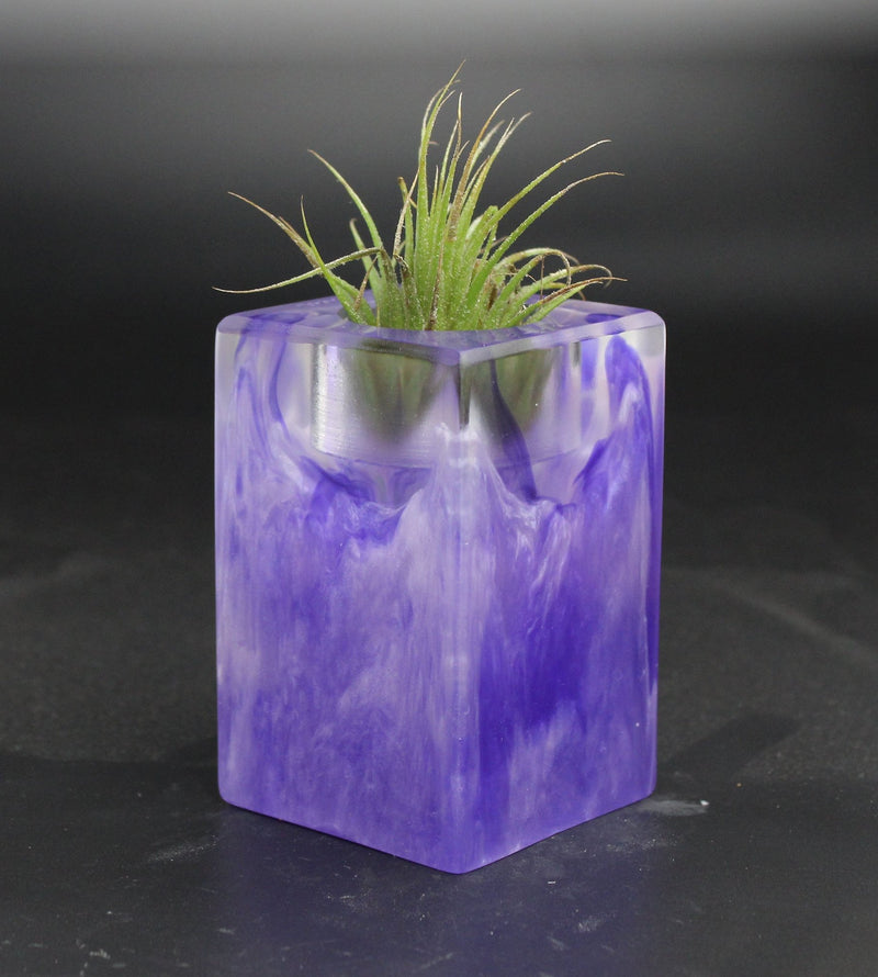Wood Burl ResinArt Air Plant Holder - Mekhi (The Lab, 703583)