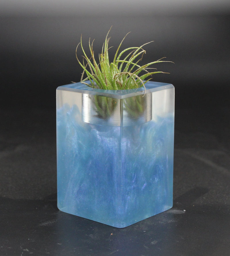Wood Burl ResinArt Air Plant Holder - Andrea (The Lab, 703584)