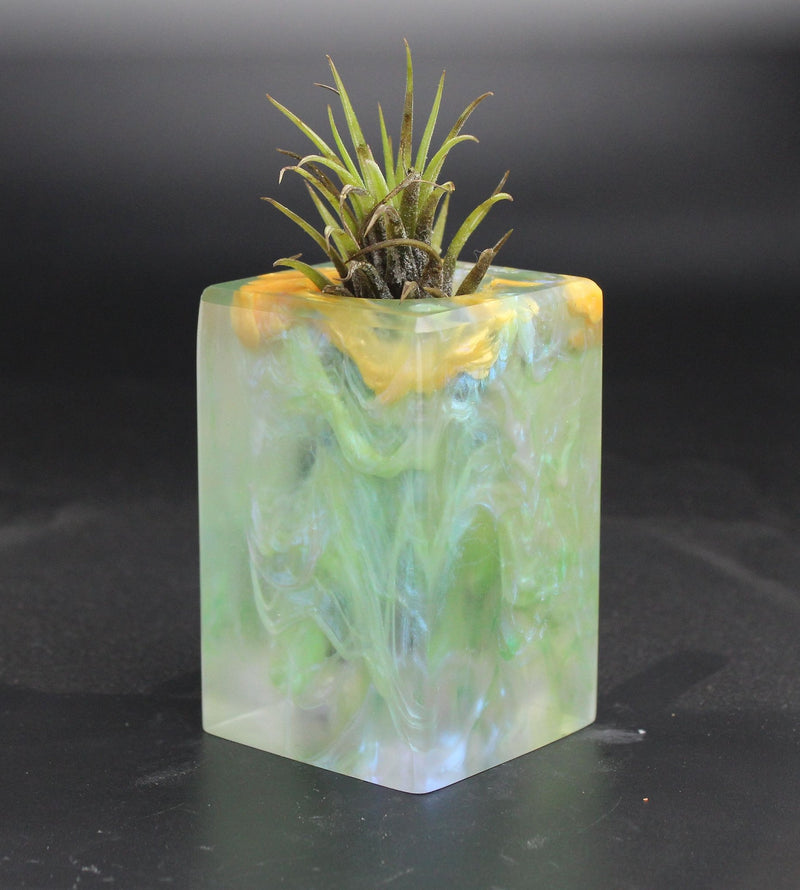 Wood Burl ResinArt Air Plant Holder - Dayanara (The Lab, 703588)