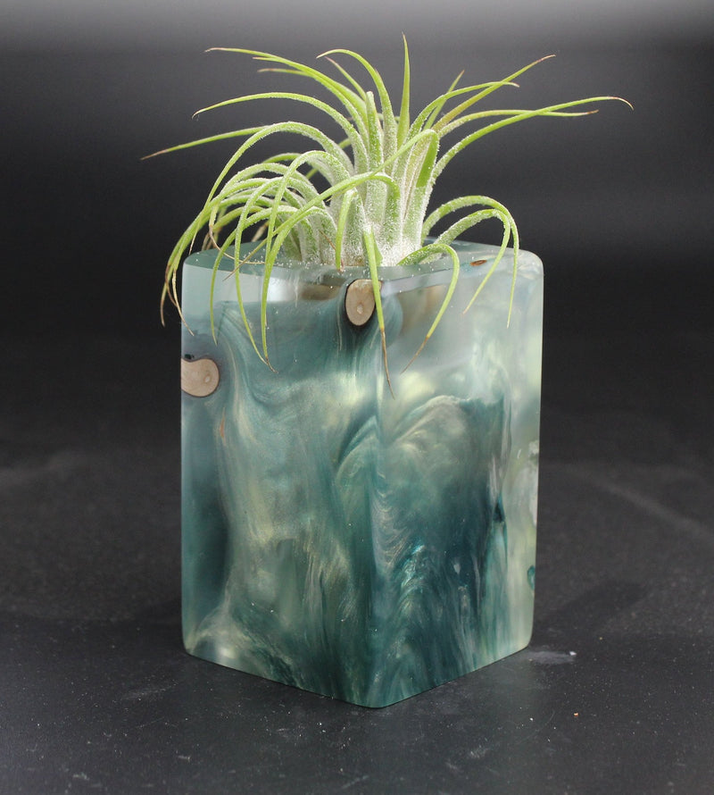 Wood Burl ResinArt Air Plant Holder - Dustin (The Lab, 704002)