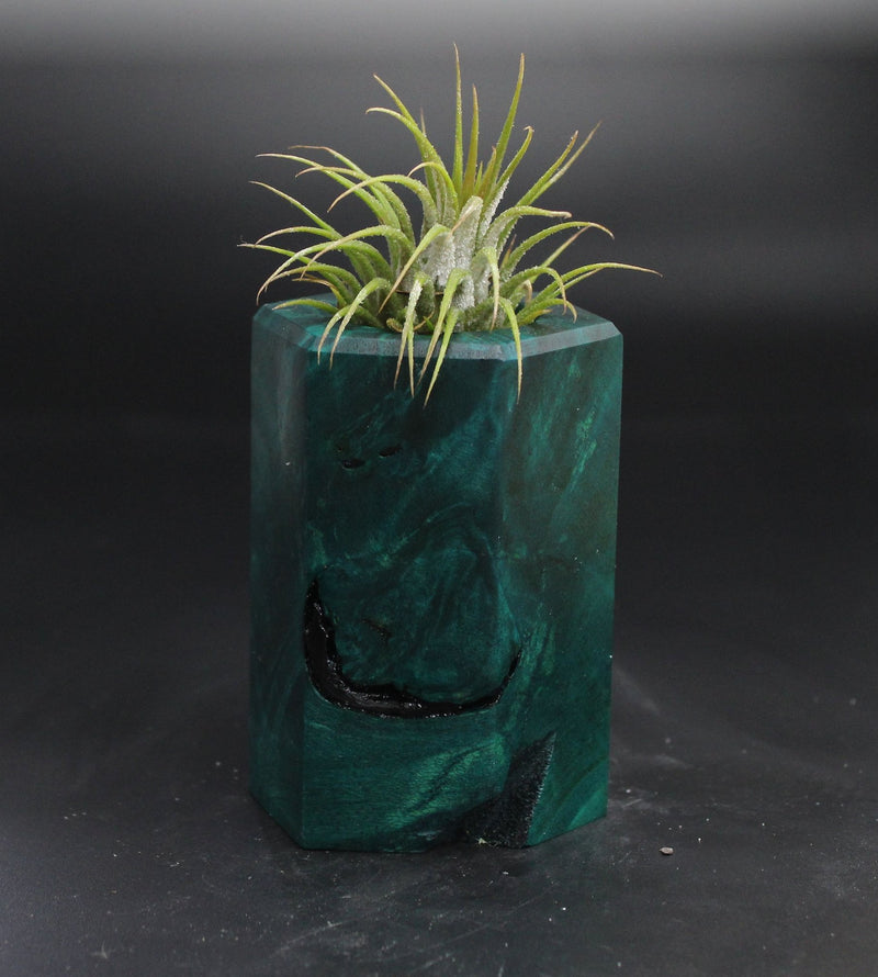 Wood Burl  Air Plant Holder - Estrella (Wood Burl, 704534)