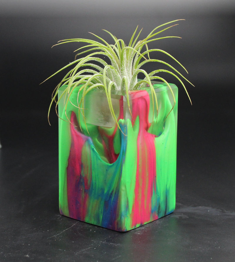 Wood Burl ResinArt Air Plant Holder - Dayanara (The Lab, 704689)