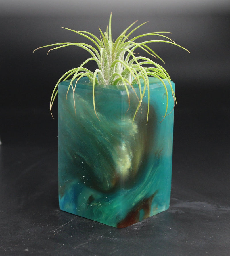 Wood Burl ResinArt Air Plant Holder - Carole (The Lab, 704691)
