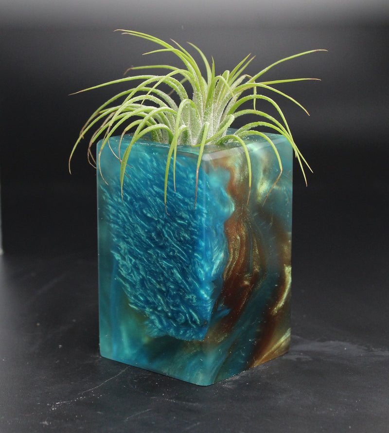 Wood Burl  Air Plant Holder - Leonel (The Lab, 704694)