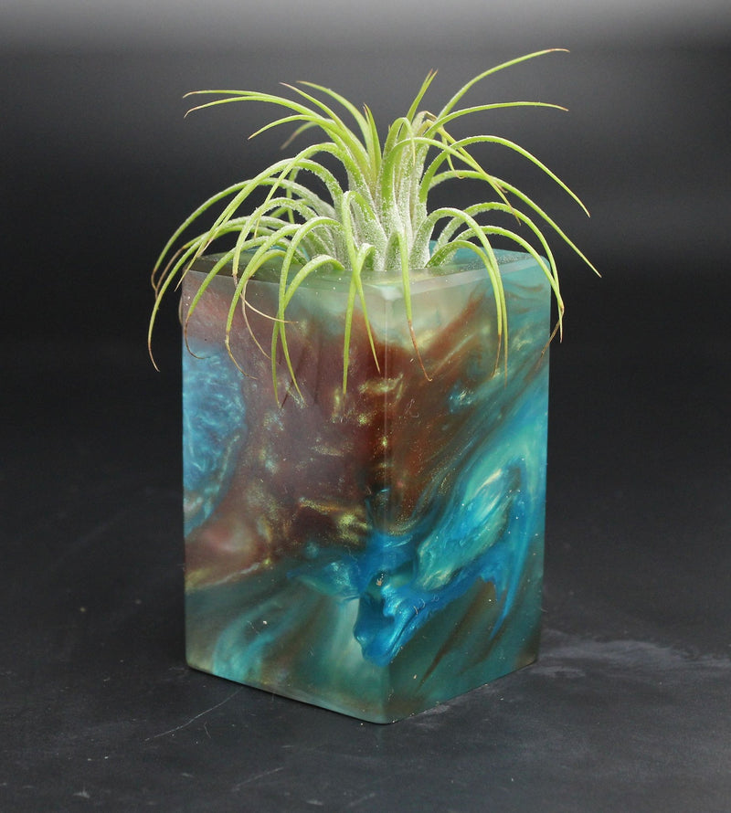 Wood Burl ResinArt Air Plant Holder - Bonita (The Lab, 704705)