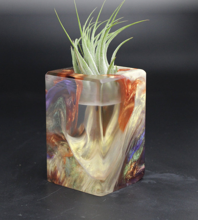 Wood Burl ResinArt Air Plant Holder - Mauricio (Wood Burl, 704817)