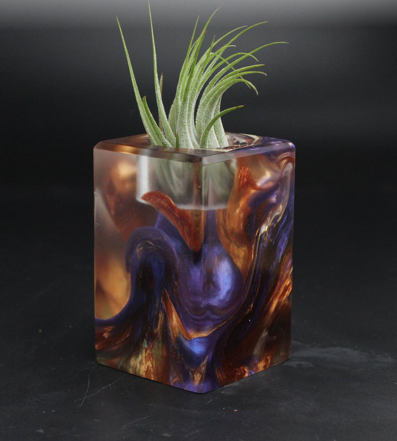 Wood Burl ResinArt Air Plant Holder - Otto (Wood Burl, 704822)