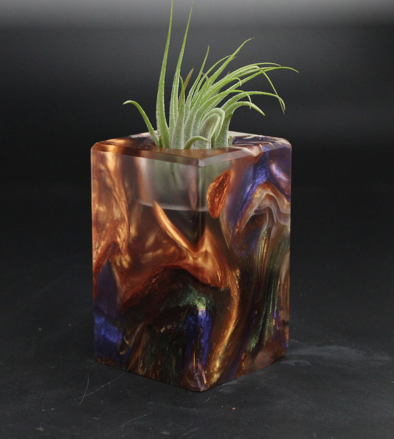 Wood Burl ResinArt Air Plant Holder - Sylvia (Wood Burl, 704824)