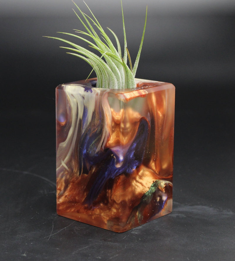 Wood Burl ResinArt Air Plant Holder - Aleah (Wood Burl, 705064)