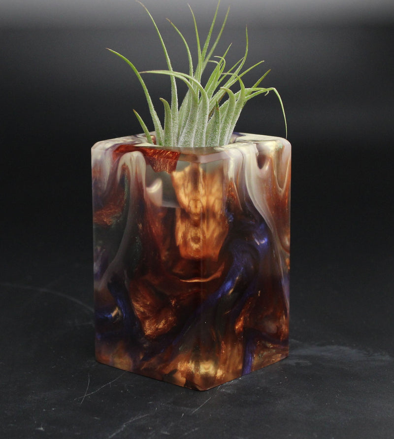 Wood Burl ResinArt Air Plant Holder - Denzel (Wood Burl, 705072)