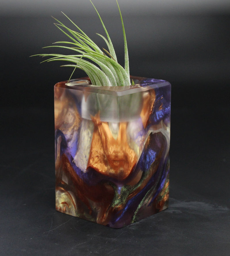 Wood Burl  Air Plant Holder - Emersyn (Wood Burl, 705122)