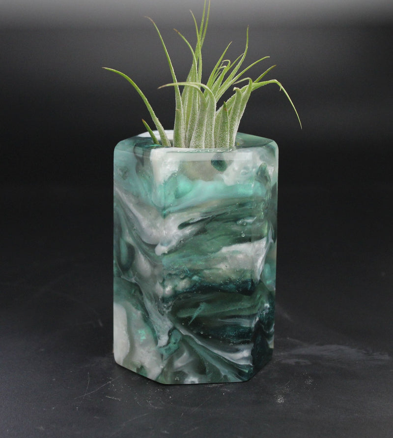 Wood Burl  Air Plant Holder - Jenna (Wood Burl, 705127)