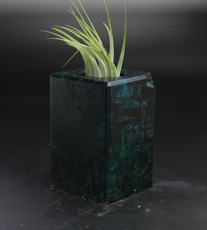 Wood Burl  Air Plant Holder - Maria (Wood Burl, 705129)