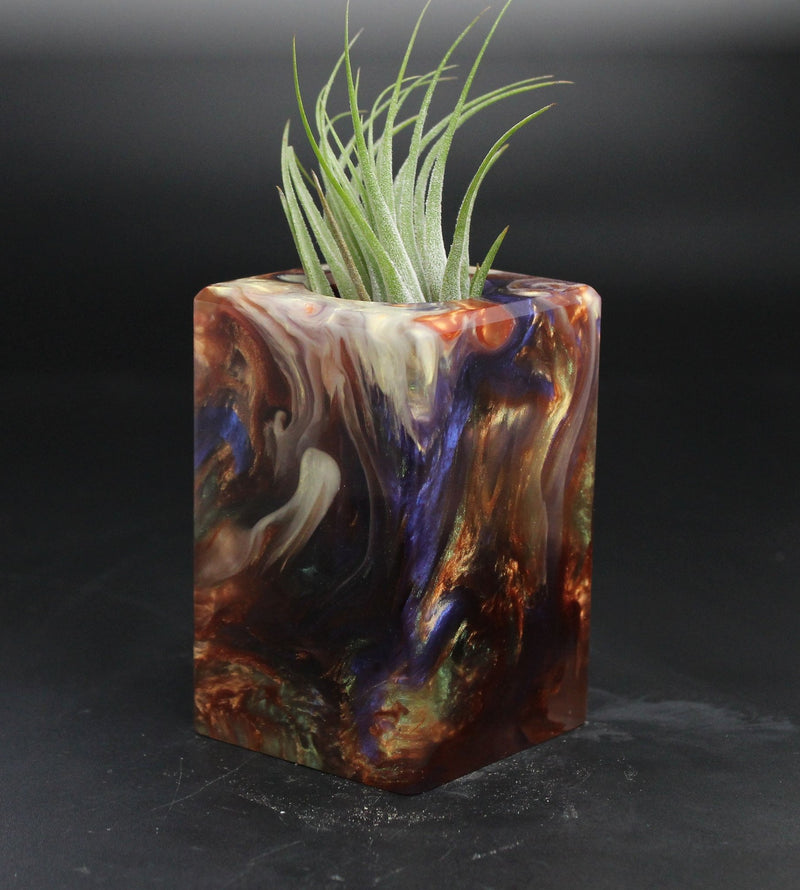 Wood Burl  Air Plant Holder - Tammy (The Lab, 705136)
