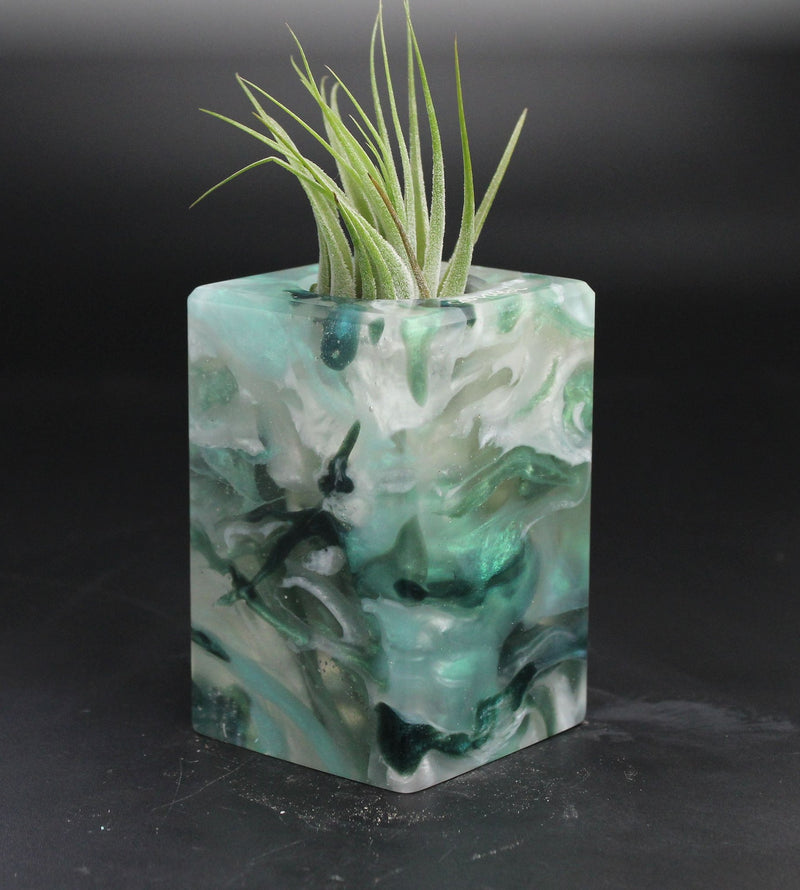 Wood Burl  Air Plant Holder - Daniel (The Lab, 705138)