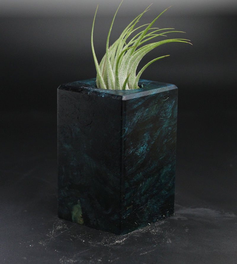Wood Burl  Air Plant Holder - Demi (Wood Burl, 705141)