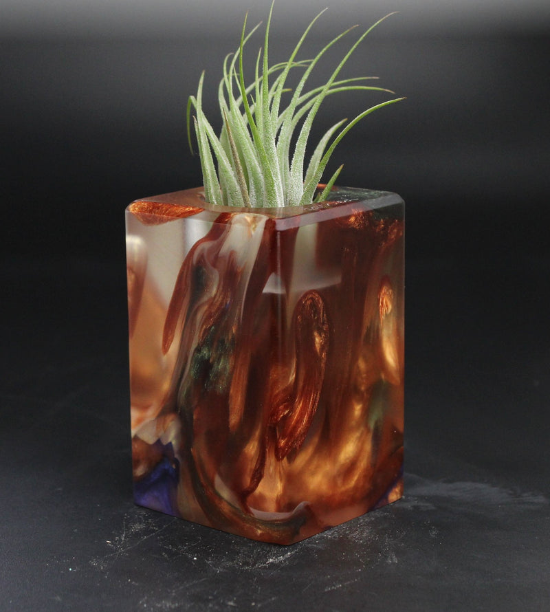 Wood Burl  Air Plant Holder - Genevieve (The Lab, 705142)
