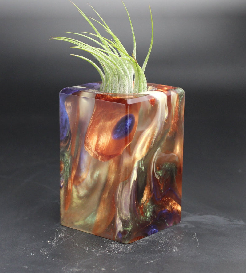 Wood Burl  Air Plant Holder - Willa (The Lab, 705145)