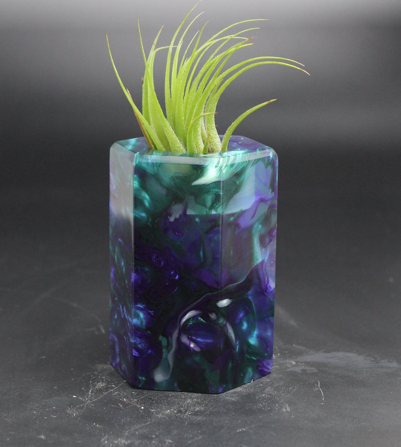 Wood Burl ResinArt Air Plant Holder - Beckett (The Lab, 705245)