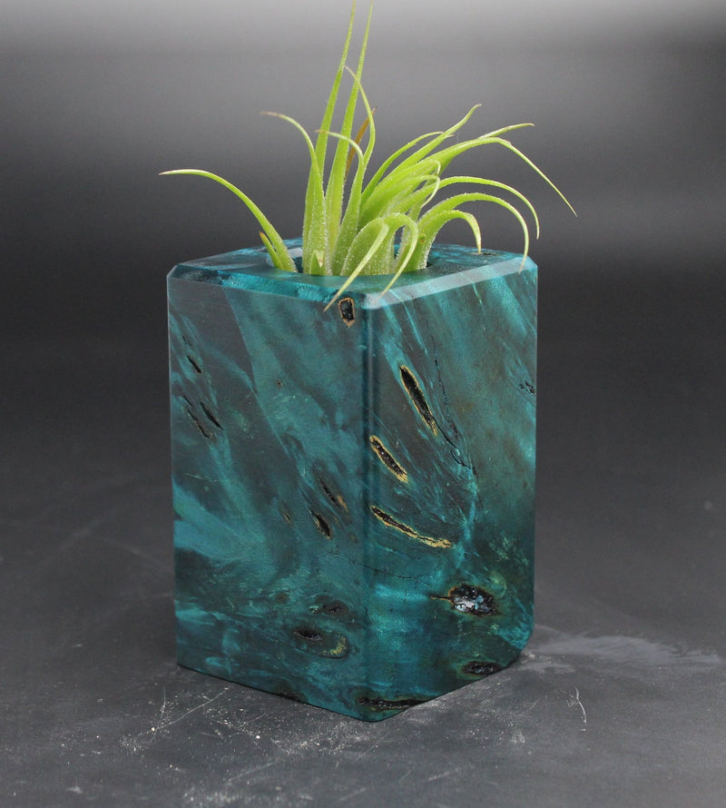 Wood Burl ResinArt Air Plant Holder - Jordyn (Wood Burl, 705248)