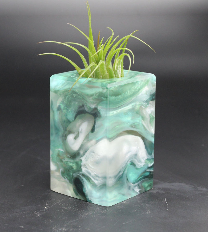 Wood Burl ResinArt Air Plant Holder - Jakob (The Lab, 705251)