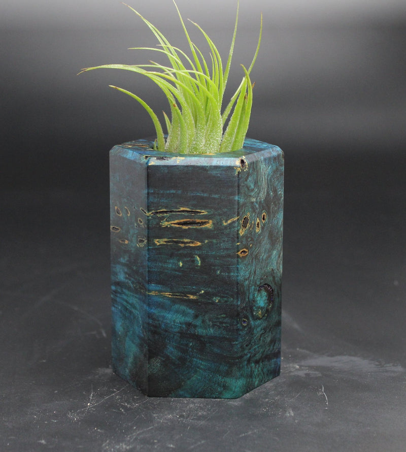 Wood Burl ResinArt Air Plant Holder - Shelby (Wood Burl, 705254)