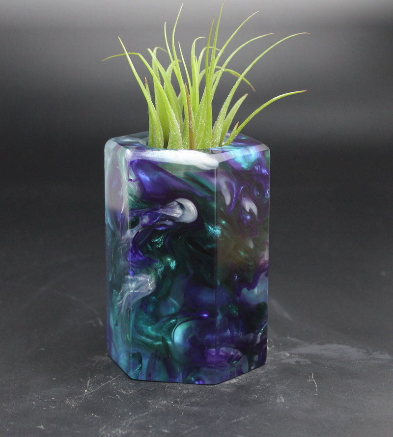 Wood Burl ResinArt Air Plant Holder - Camille (The Lab, 705256)
