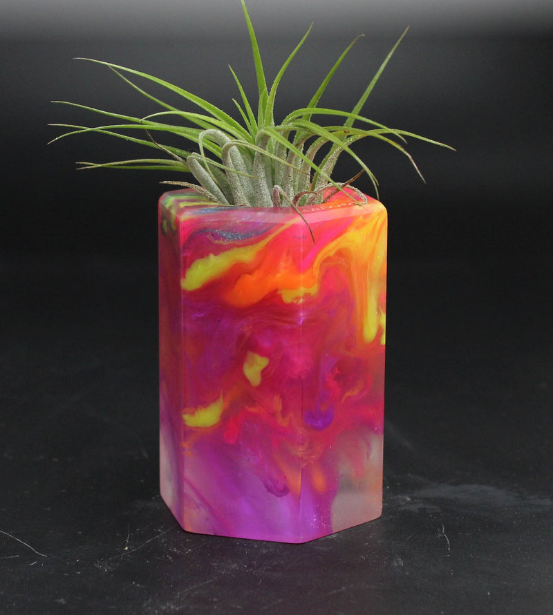 Wood Burl ResinArt Air Plant Holder - Brent (The Lab, 705802)