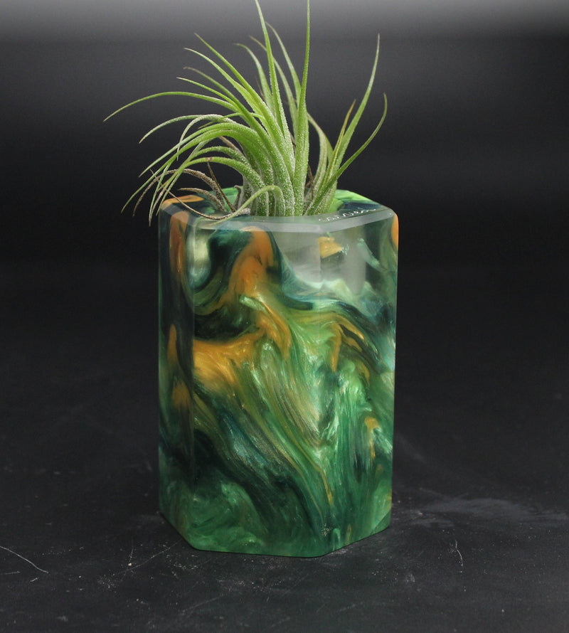 Wood Burl ResinArt Air Plant Holder - Agnes (The Lab, 705804)