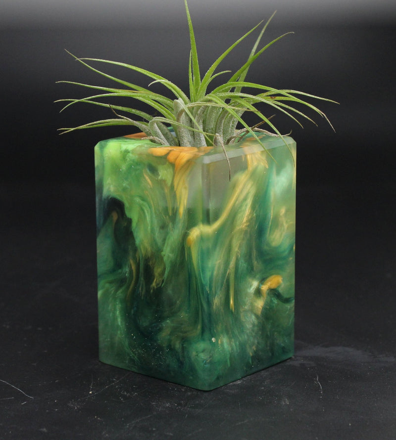 Wood Burl ResinArt Air Plant Holder - Brad (The Lab, 705806)