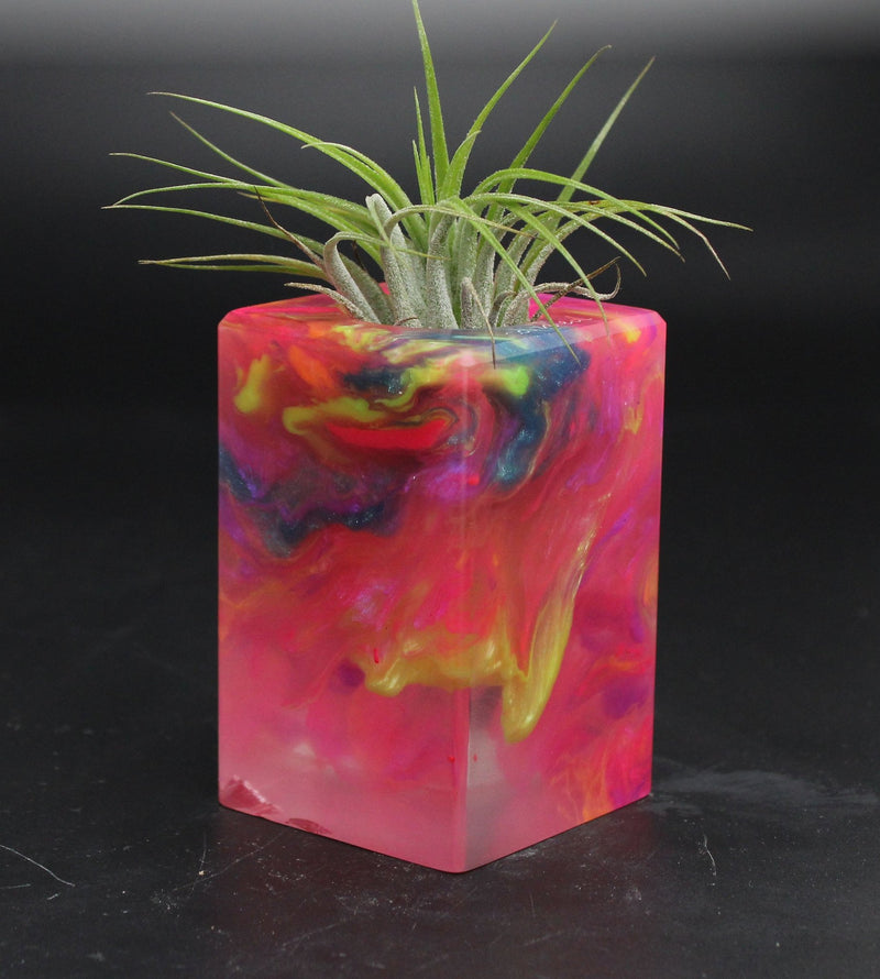 Wood Burl ResinArt Air Plant Holder - Douglas (The Lab, 705807)