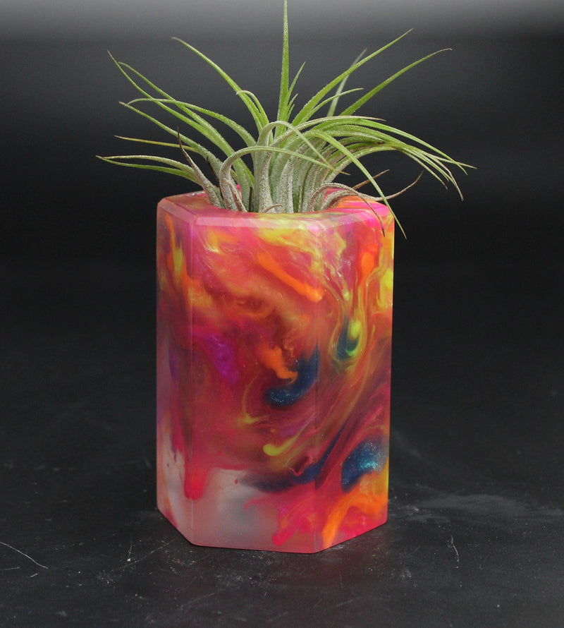 Wood Burl ResinArt Air Plant Holder - Gretchen (The Lab, 705808)
