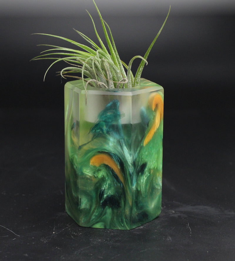 Wood Burl ResinArt Air Plant Holder - Trudy (The Lab, 705809)