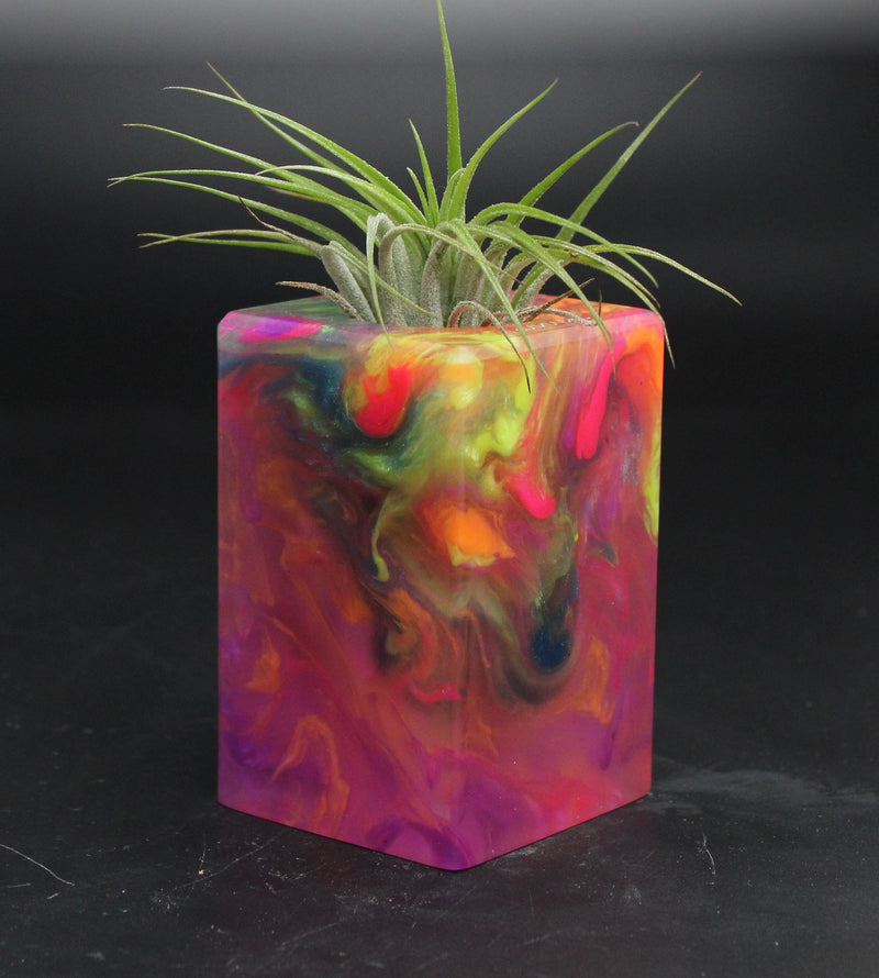 Wood Burl ResinArt Air Plant Holder - Ella (The Lab, 705810)