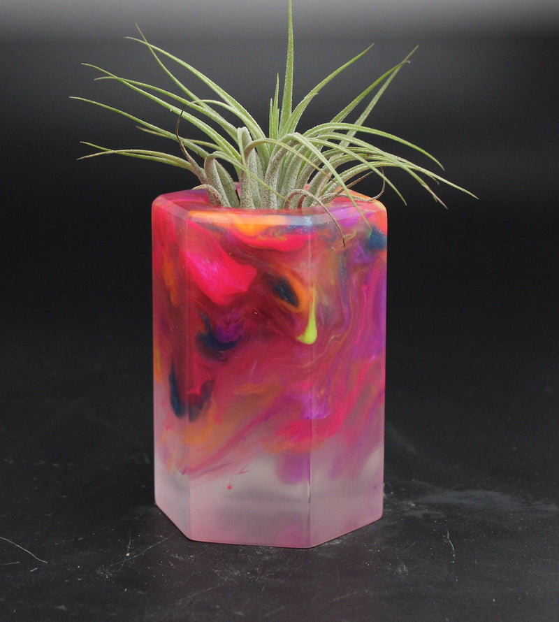 Wood Burl ResinArt Air Plant Holder - Tori (The Lab, 705815)