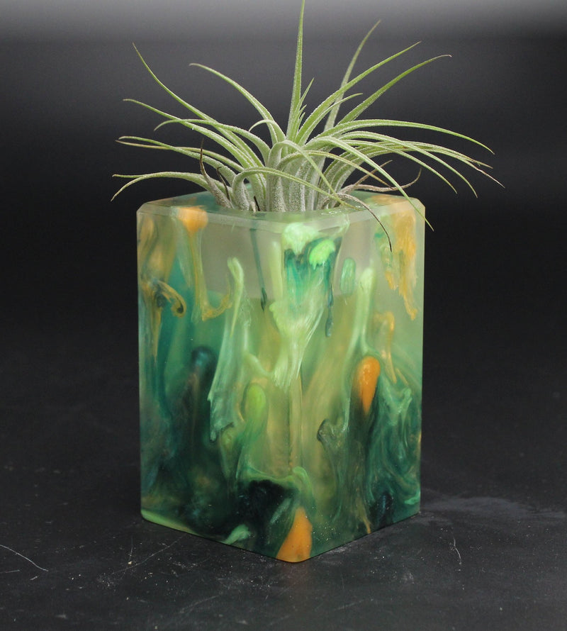 Wood Burl ResinArt Air Plant Holder - Rebekah (The Lab, 705816)