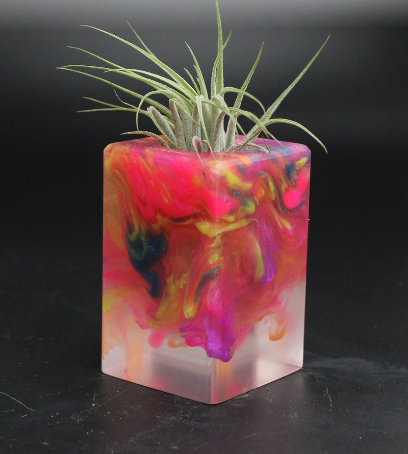 Wood Burl ResinArt Air Plant Holder - Carl (The Lab, 705818)