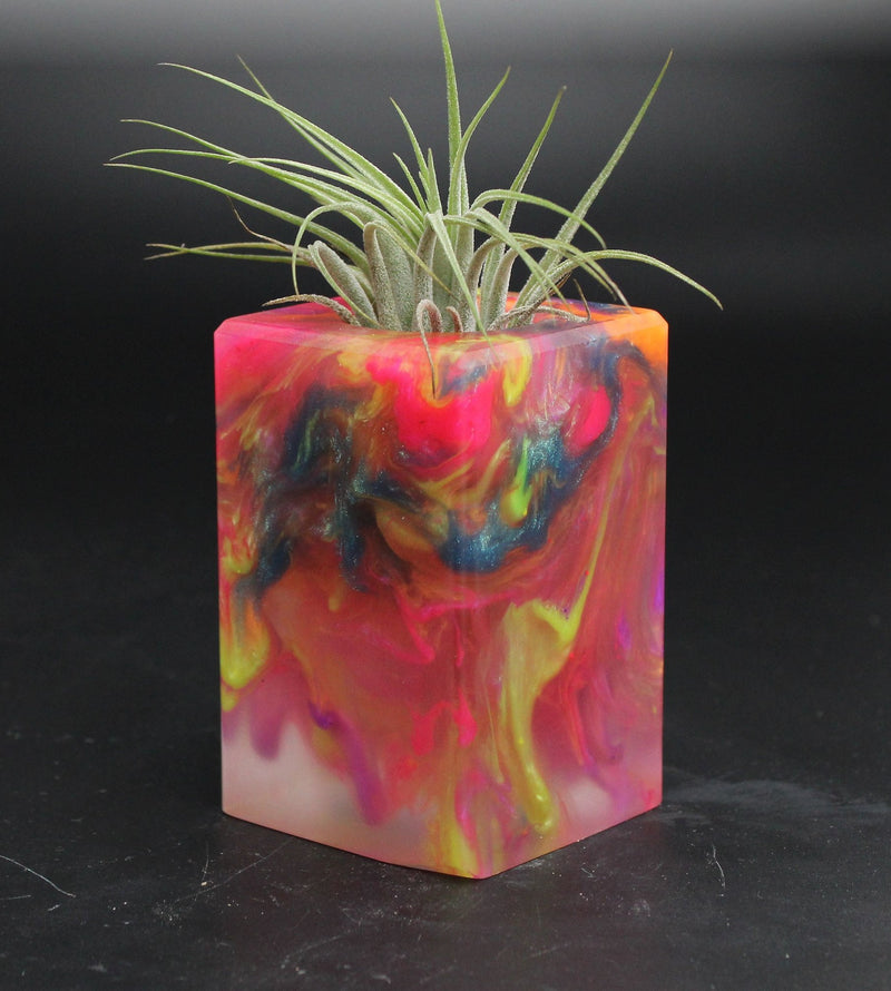 Wood Burl ResinArt Air Plant Holder - Hazel (The Lab, 705819)