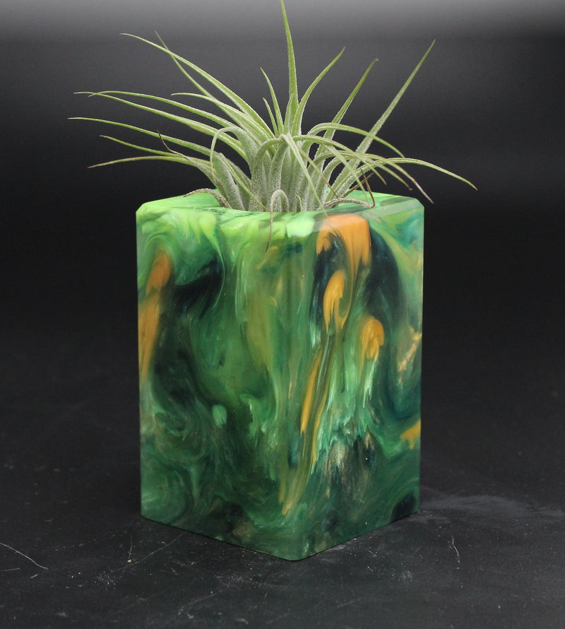 Wood Burl ResinArt Air Plant Holder - Rodrigo (The Lab, 705820)
