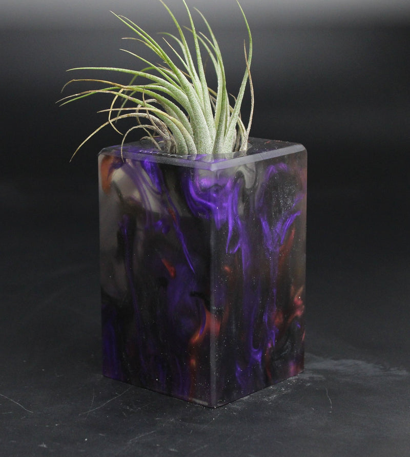 Wood Burl ResinArt Air Plant Holder - Minnie (The Lab, 707626)