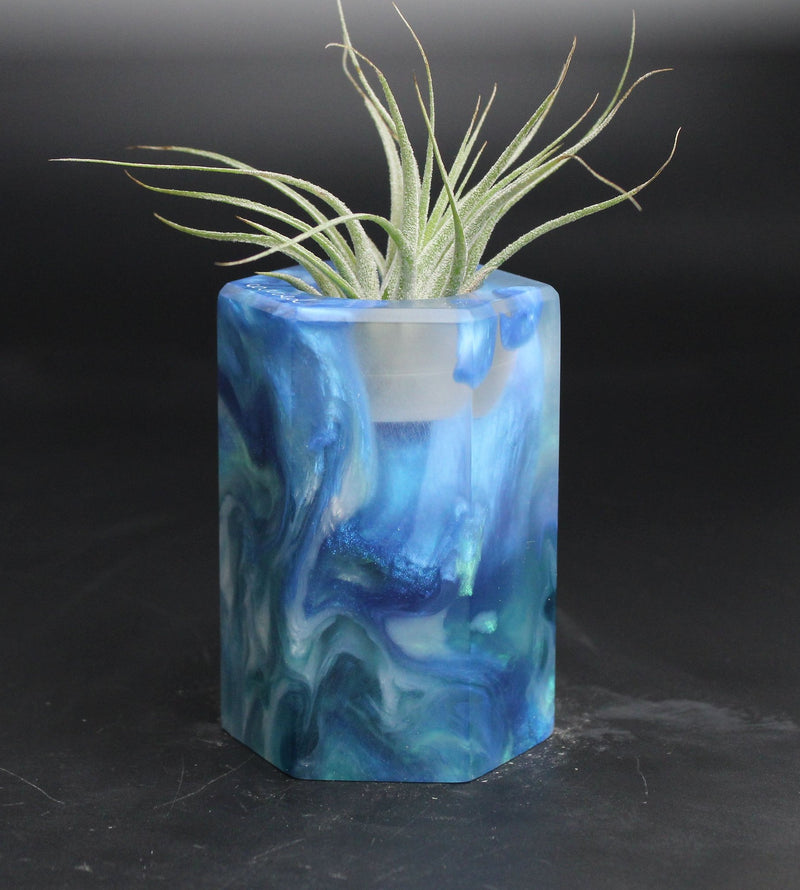 Wood Burl ResinArt Air Plant Holder - Jeffery (The Lab, 707628)