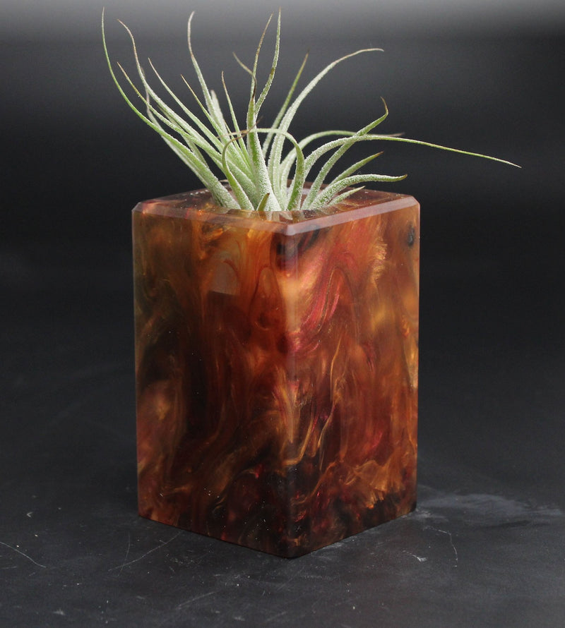 Wood Burl ResinArt Air Plant Holder - Sabrina (The Lab, 707632)