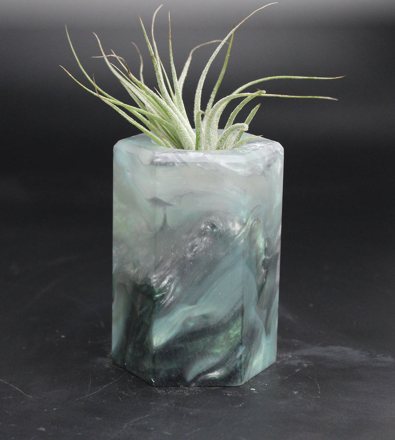 Wood Burl ResinArt Air Plant Holder - Eliana (The Lab, 707639)
