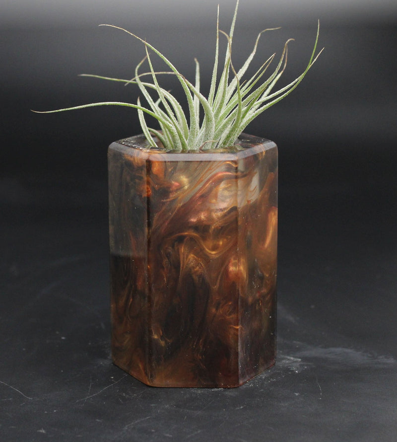 Wood Burl ResinArt Air Plant Holder - Lorrie (The Lab, 707643)